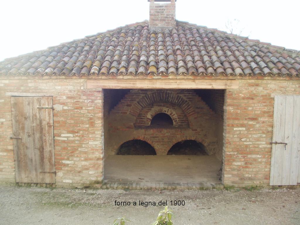 Agriturismo Principe Pio Villa Crespino Exterior photo